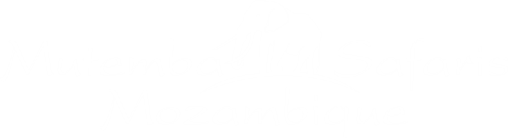 Mutemba Safaris